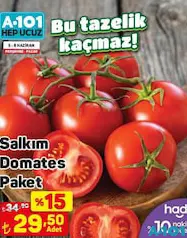 SALKIM DOMATES PAKET